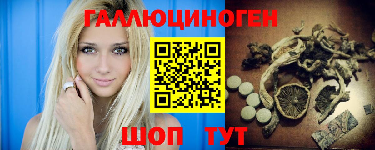 Александров  Псилоцибиновые грибы мухоморы  Вход с VPN  купить наркотик  Псилоцибиновые грибы мицелий 